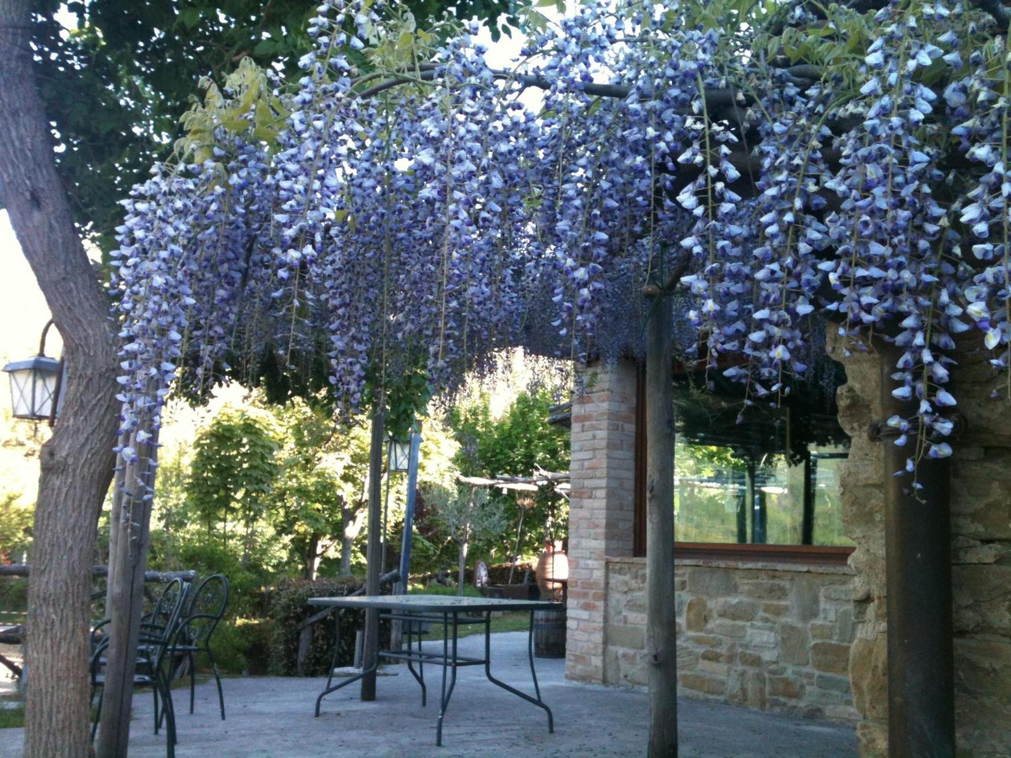 La Cittadella Dei Monti Sibillini Guest House Montemonaco Exterior photo